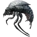 Choke Beetle