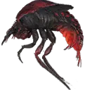 Fire Beetle
