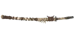 Denti e Vertebre